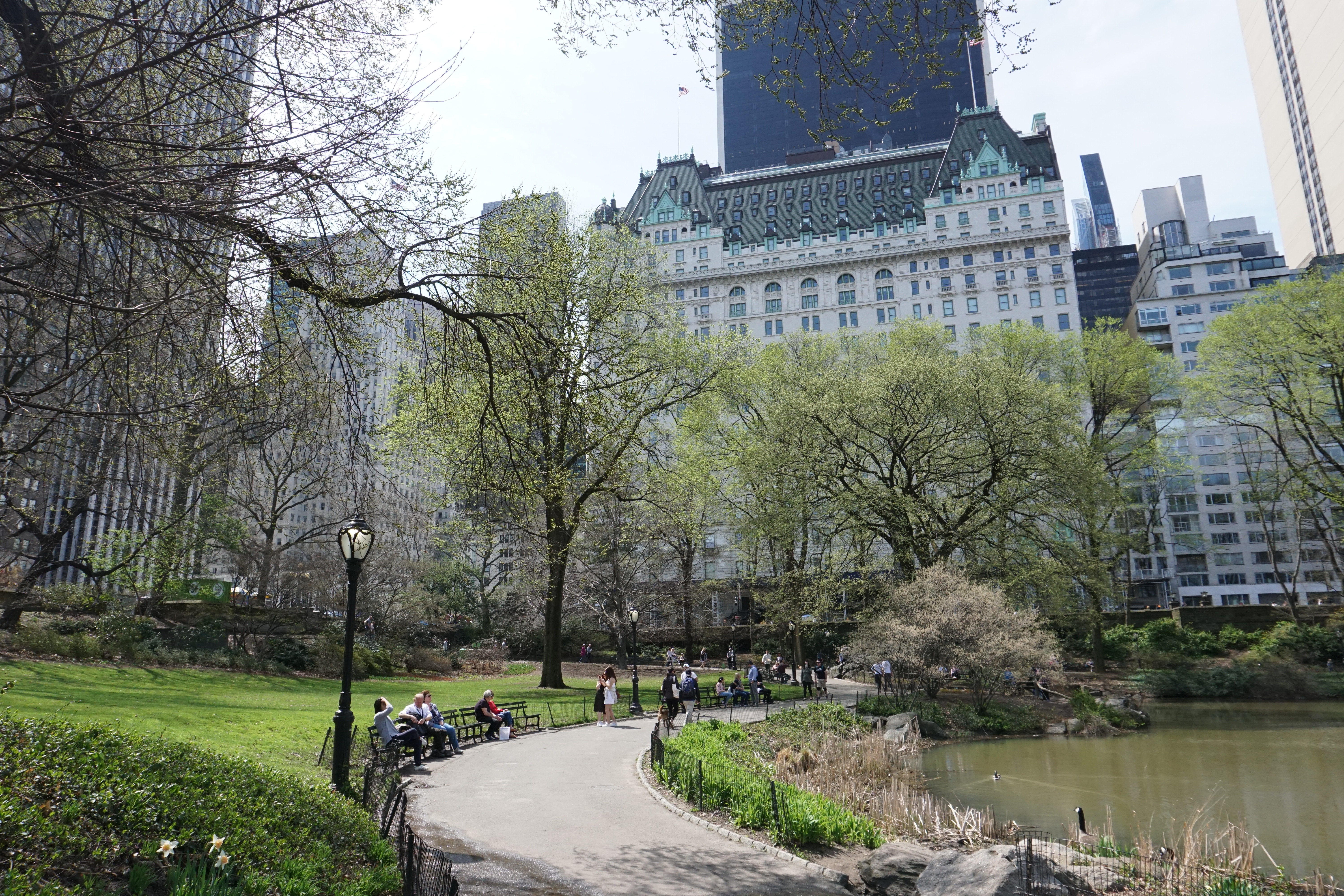 Central Park in Spring
